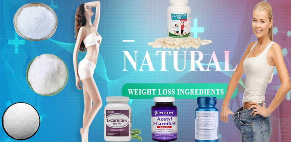 product-1000-488 L-carnitine07