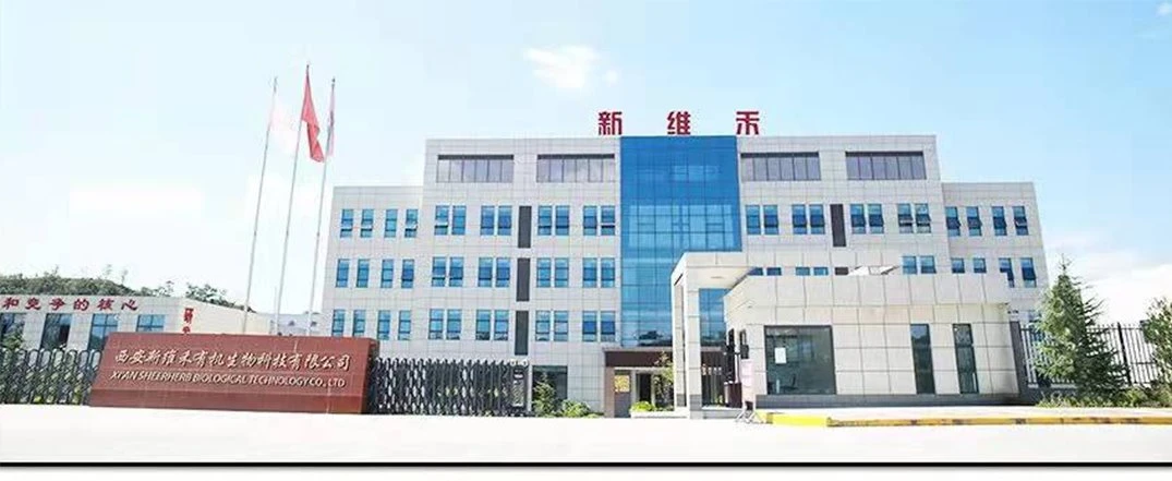 factory (2)