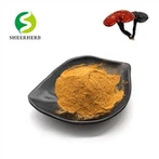 Порошок екстракту грибів Reishi