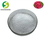 Raspberry Extract порошок