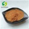 Soy Sauce Powder