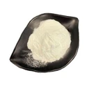 Основний білок молозива